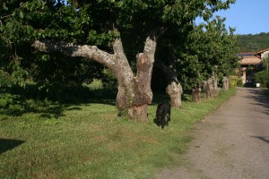 CAMPING2 009