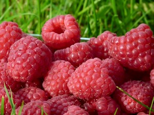 framboises