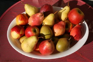 pommes et poires du Pilat