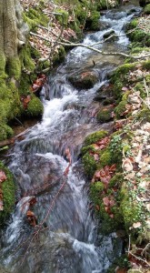 riviere